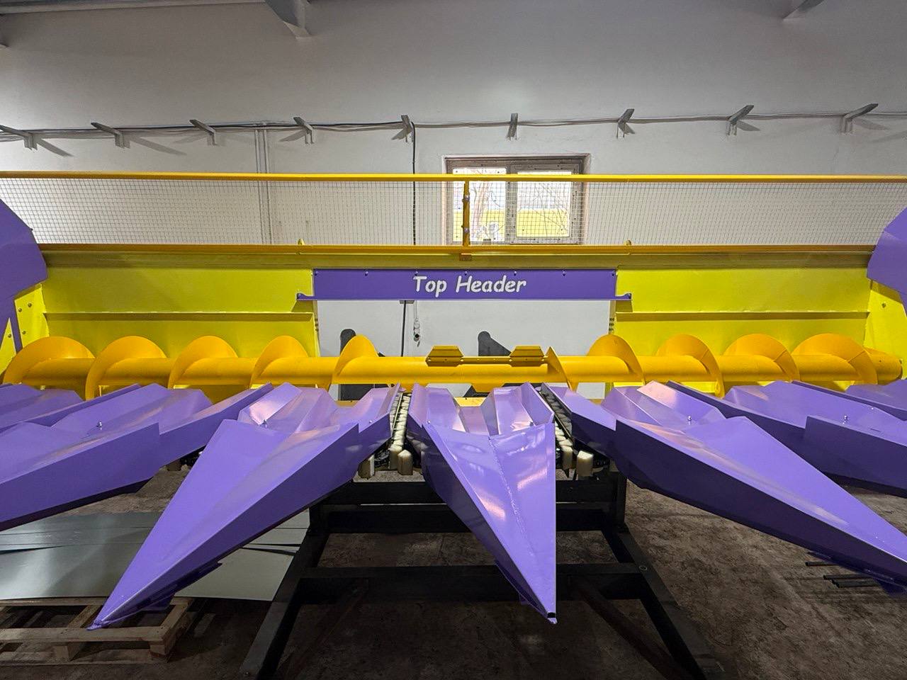IMAGE 2026-02-03 16_05_44